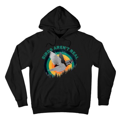 Birds Aren't Real They're Government Camera Hoodie