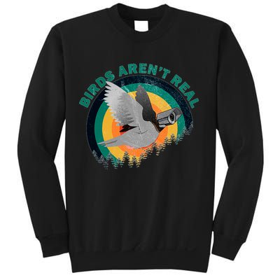 Birds Aren't Real They're Government Camera Sweatshirt