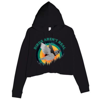 Birds Aren't Real They're Government Camera Crop Fleece Hoodie