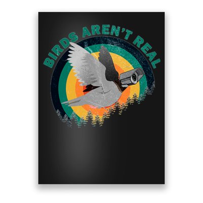 Birds Aren't Real They're Government Camera Poster