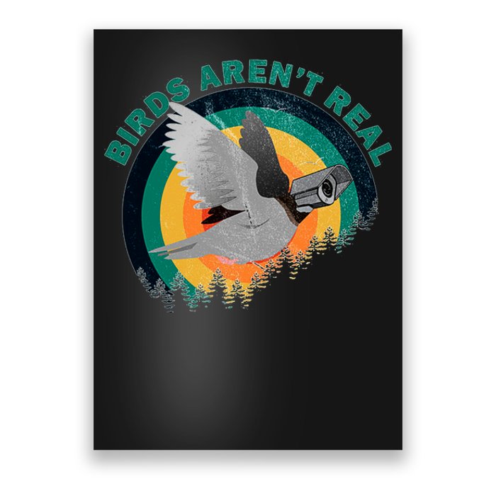 Birds Aren't Real They're Government Camera Poster