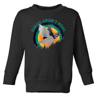 Birds Aren't Real They're Government Camera Toddler Sweatshirt