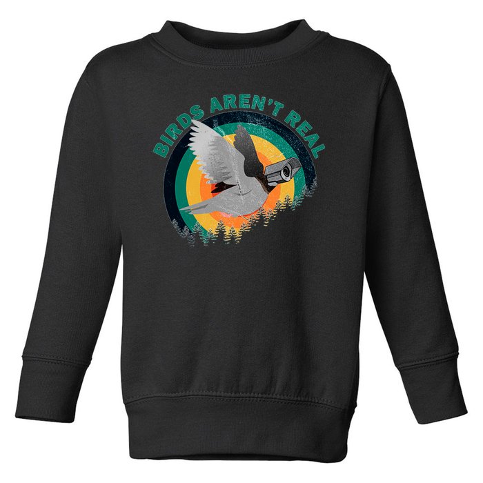 Birds Aren't Real They're Government Camera Toddler Sweatshirt