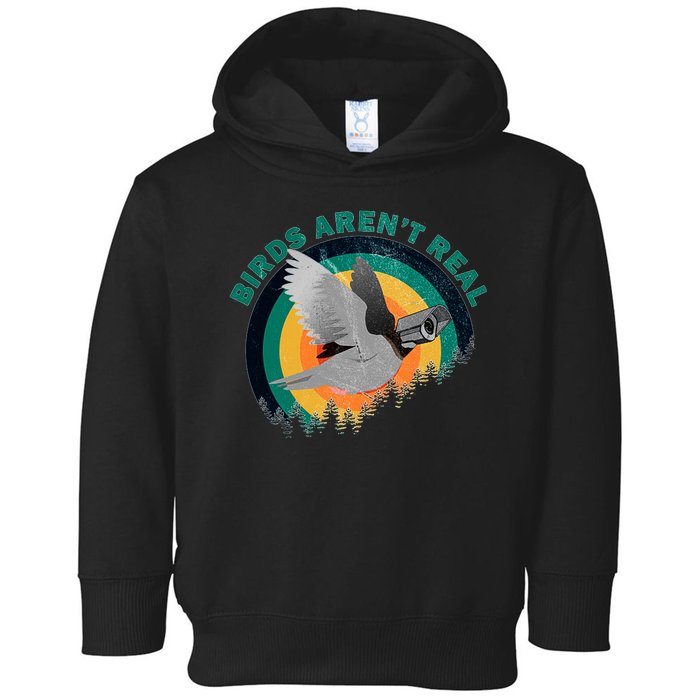 Birds Aren't Real They're Government Camera Toddler Hoodie