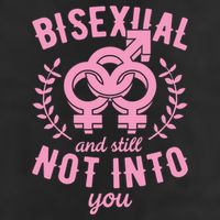 Bisexual And Still Not Into You Cute Bi Pride Flag Quotes Funny Gift 7 Panel Mesh Trucker Snapback Hat