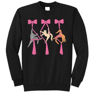 Bow Aerial Silks Cat Aerial Aerialist Yoga Hammock Cat Mom Sweatshirt