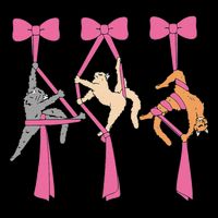 Bow Aerial Silks Cat Aerial Aerialist Yoga Hammock Cat Mom V-Neck T-Shirt