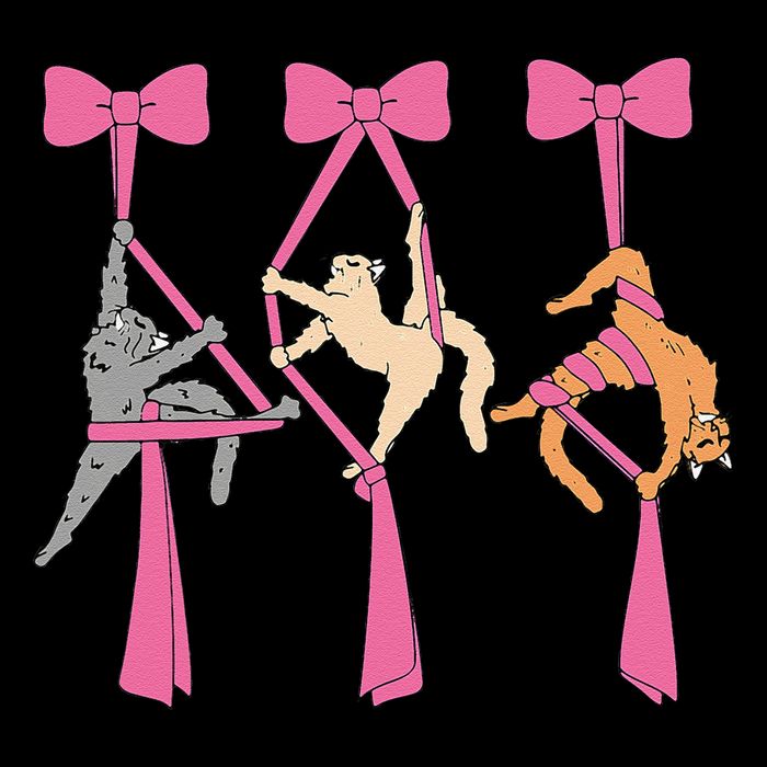 Bow Aerial Silks Cat Aerial Aerialist Yoga Hammock Cat Mom Toddler T-Shirt