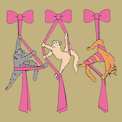 Bow Aerial Silks Cat Aerial Aerialist Yoga Hammock Cat Mom T-Shirt