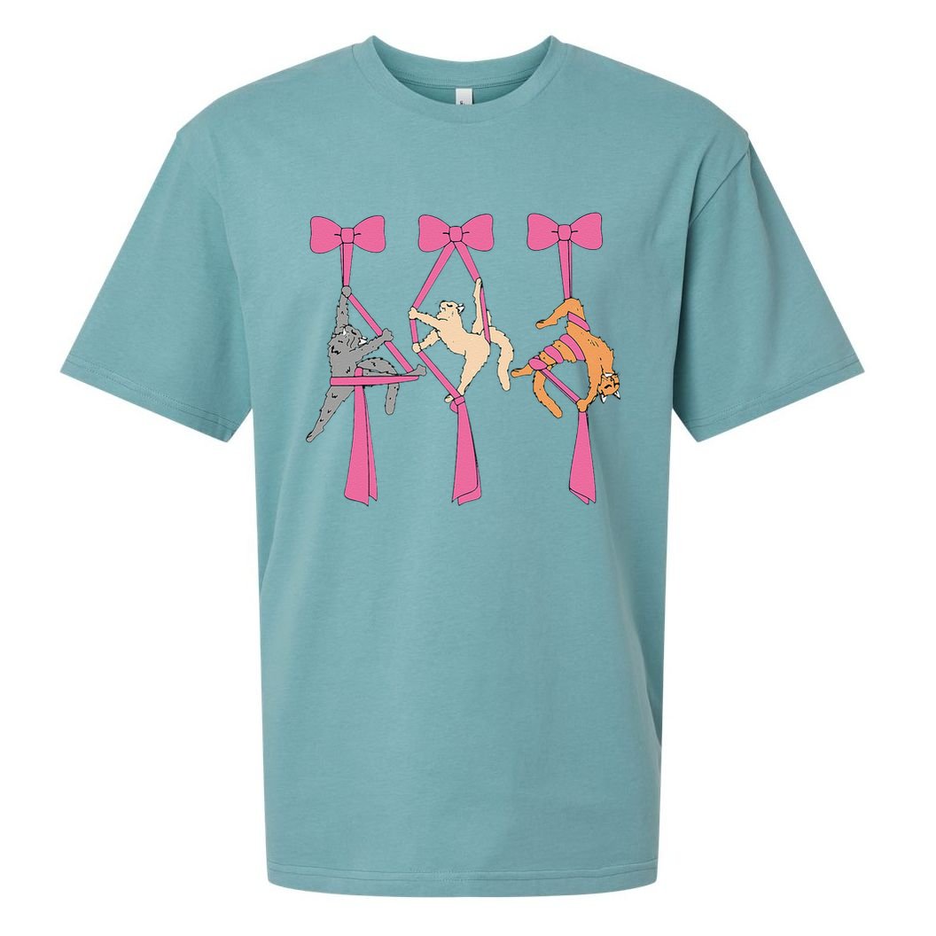 Bow Aerial Silks Cat Aerial Aerialist Yoga Hammock Cat Mom Sueded Cloud Jersey T-Shirt