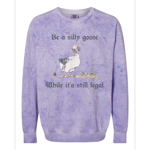 Be A Silly Goose While Its Still Legal Funny Meme Colorblast Crewneck Sweatshirt