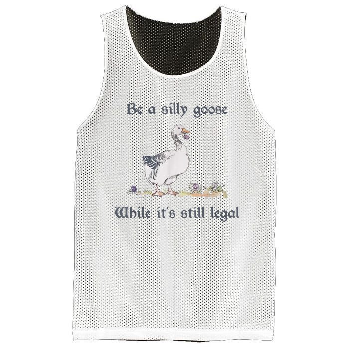 Be A Silly Goose While Its Still Legal Funny Meme Mesh Reversible Basketball Jersey Tank