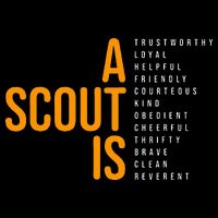 Bsa A Scout Is 7-Panel Snapback Hat