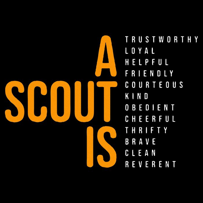 Bsa A Scout Is 7-Panel Snapback Hat