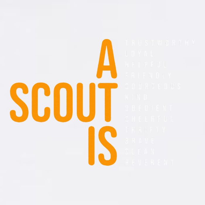 Bsa A Scout Is Wool Snapback Cap