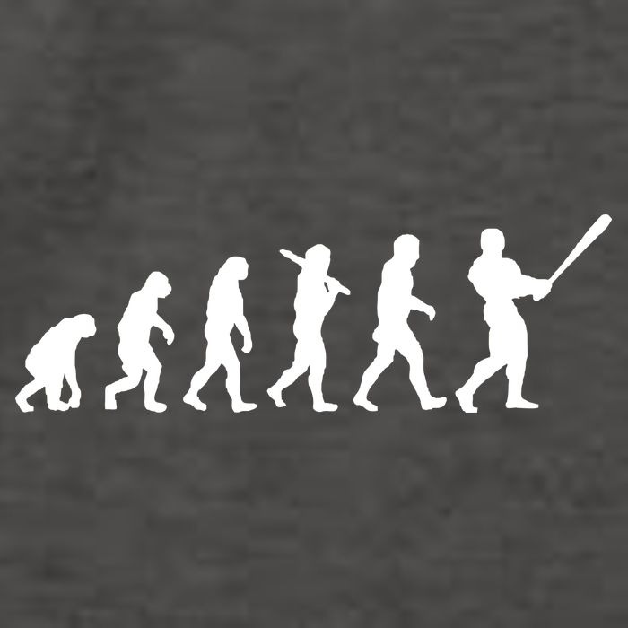 Baseball Evolution Vector Backpack