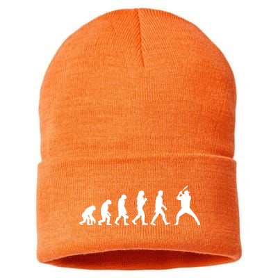 Baseball Fan Evolution  Sustainable Knit Beanie