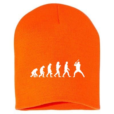 Baseball Fan Evolution  Short Acrylic Beanie