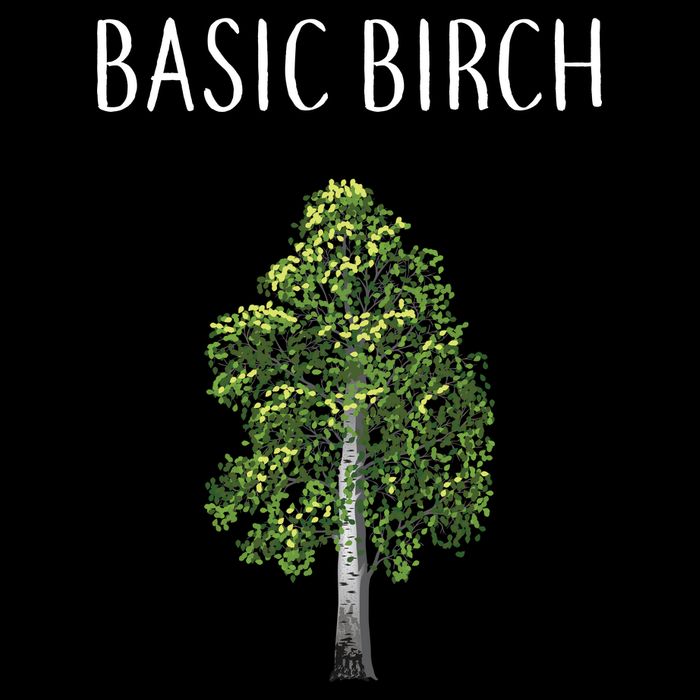 Basic Birch Wool Snapback Cap