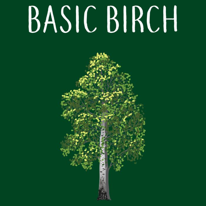 Basic Birch Hoodie