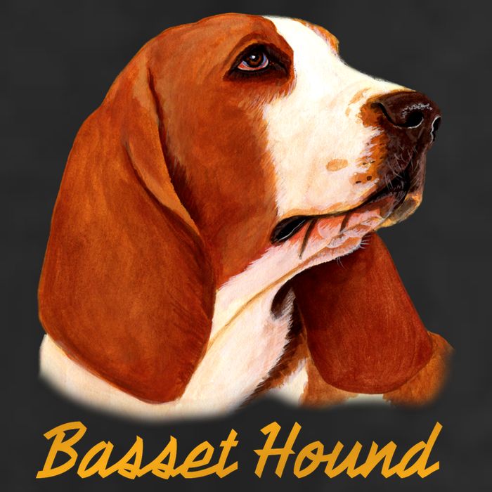 Basset Hound Dog Signature Portrait Adult Drive Performance Visor
