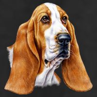 Basset Hound Face Adult Drive Performance Visor