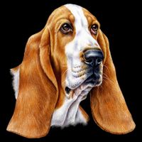 Basset Hound Face 16 in Basic Backpack