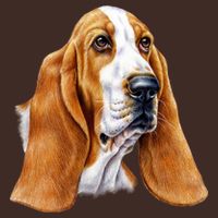 Basset Hound Face T-Shirt