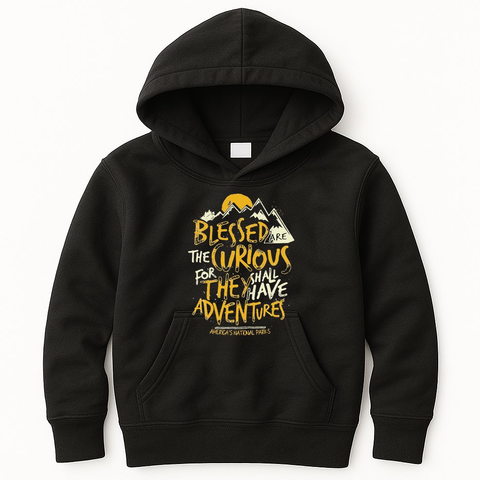Blessed Are The Curious Kids Hoodie