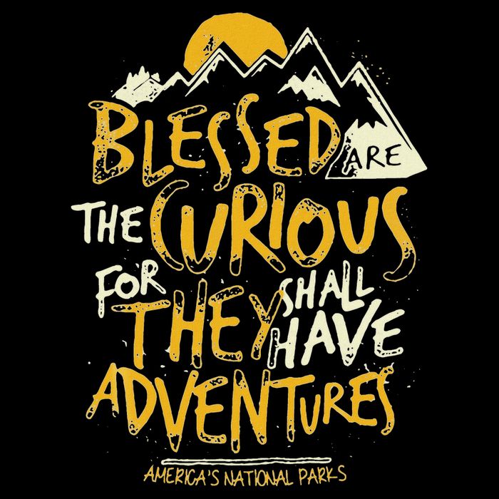 Blessed Are The Curious Wool Snapback Cap
