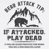 Bear Attack Tip Camping Hiking Travel Adventure Vintage Button