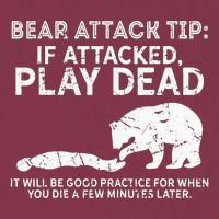 Bear Attack Tip If Attacked Play Dead 16oz Travel Tumbler