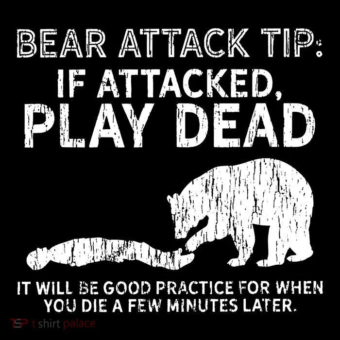 Bear Attack Tip If Attacked Play Dead Crop Top