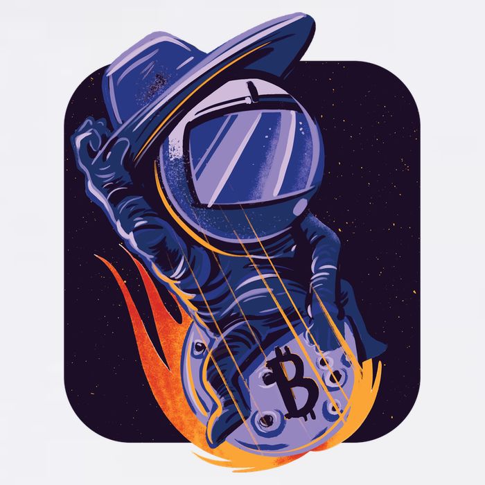 Bitcoin Astronaut To The Moon Garment-Dyed Sweatshirt