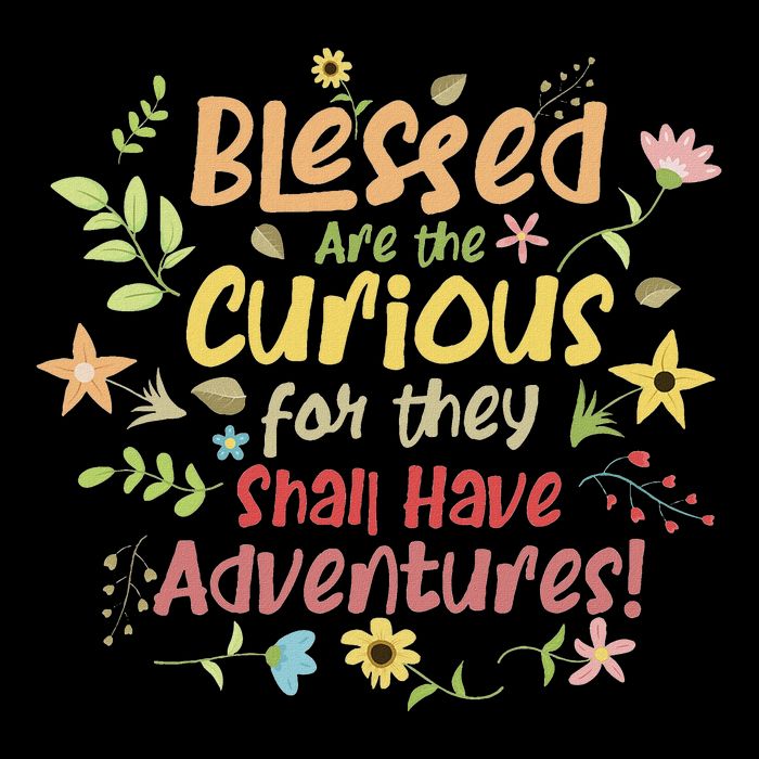 Blessed Are The Curious For They Shall Have Adventures Humor 16 in Basic Backpack