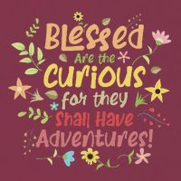 Blessed Are The Curious For They Shall Have Adventures Humor 16oz Travel Tumbler