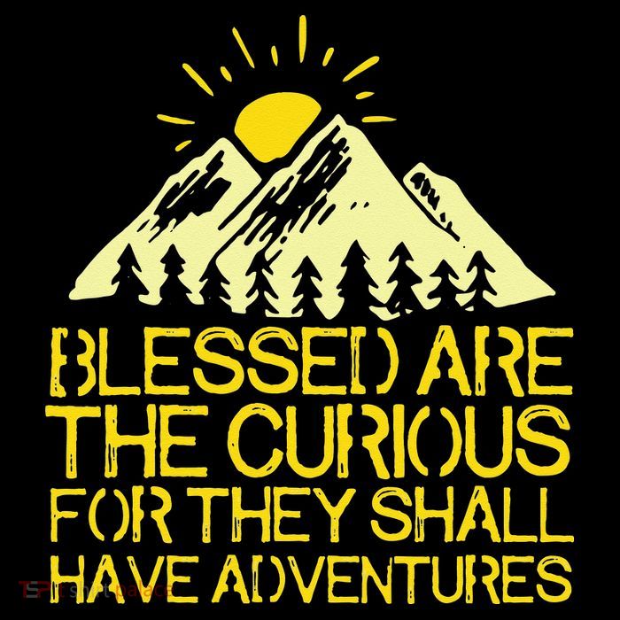 Blessed Are The Curious For They Shall Have Adventures Crop Top