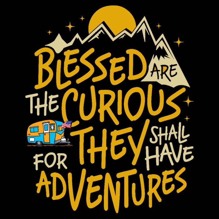 Blessed Are The Curious For They Shall Have Adventures Wool Snapback Cap
