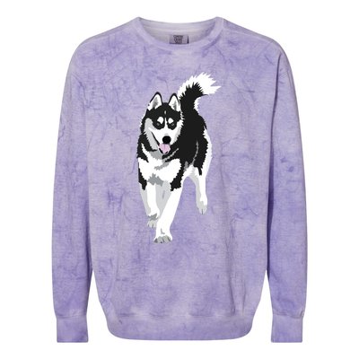 Black And White Siberian Husky Snow Dog Colorblast Crewneck Sweatshirt