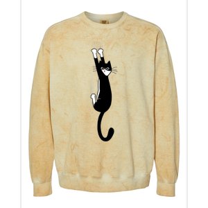 Black And White Cat Hanging On Funny Tuxedo Cat Lovers Colorblast Crewneck Sweatshirt