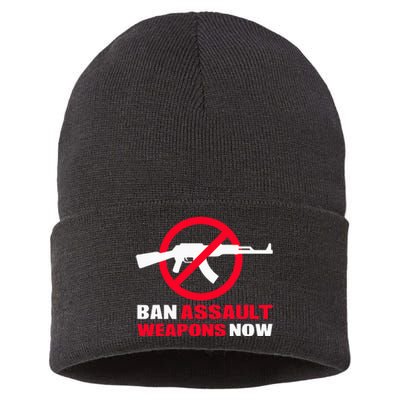 Ban Assault Weapons Now Sustainable Knit Beanie