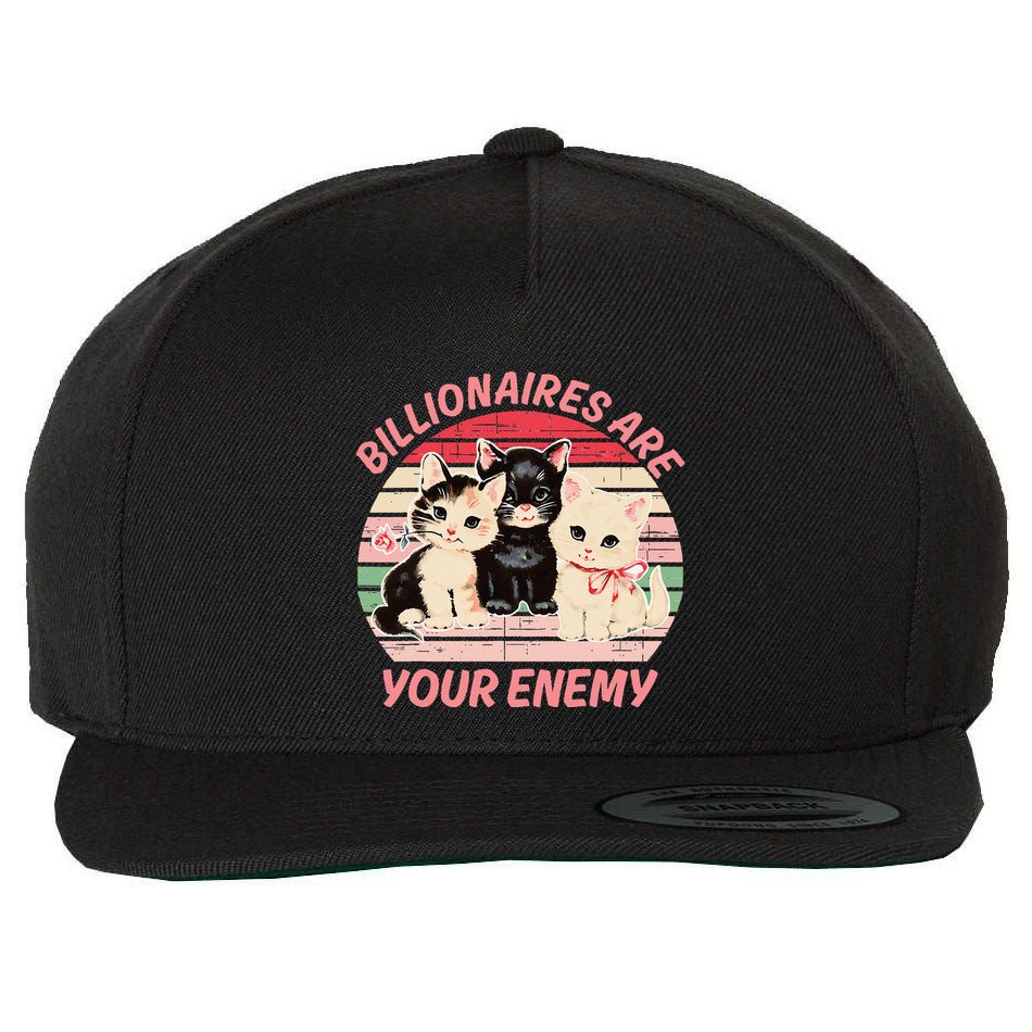 Billionaires Are Your Enemy Cat Vintage Wool Snapback Cap