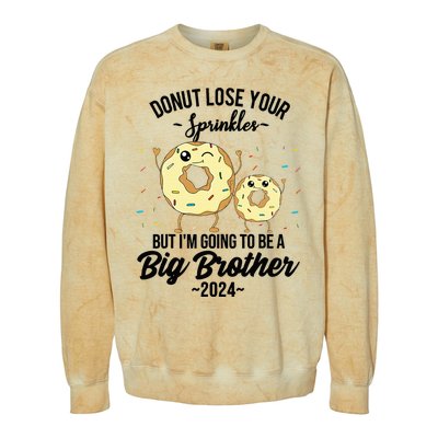 Big Brother 2024 Pregnancy Announcement Expecting Colorblast Crewneck Sweatshirt