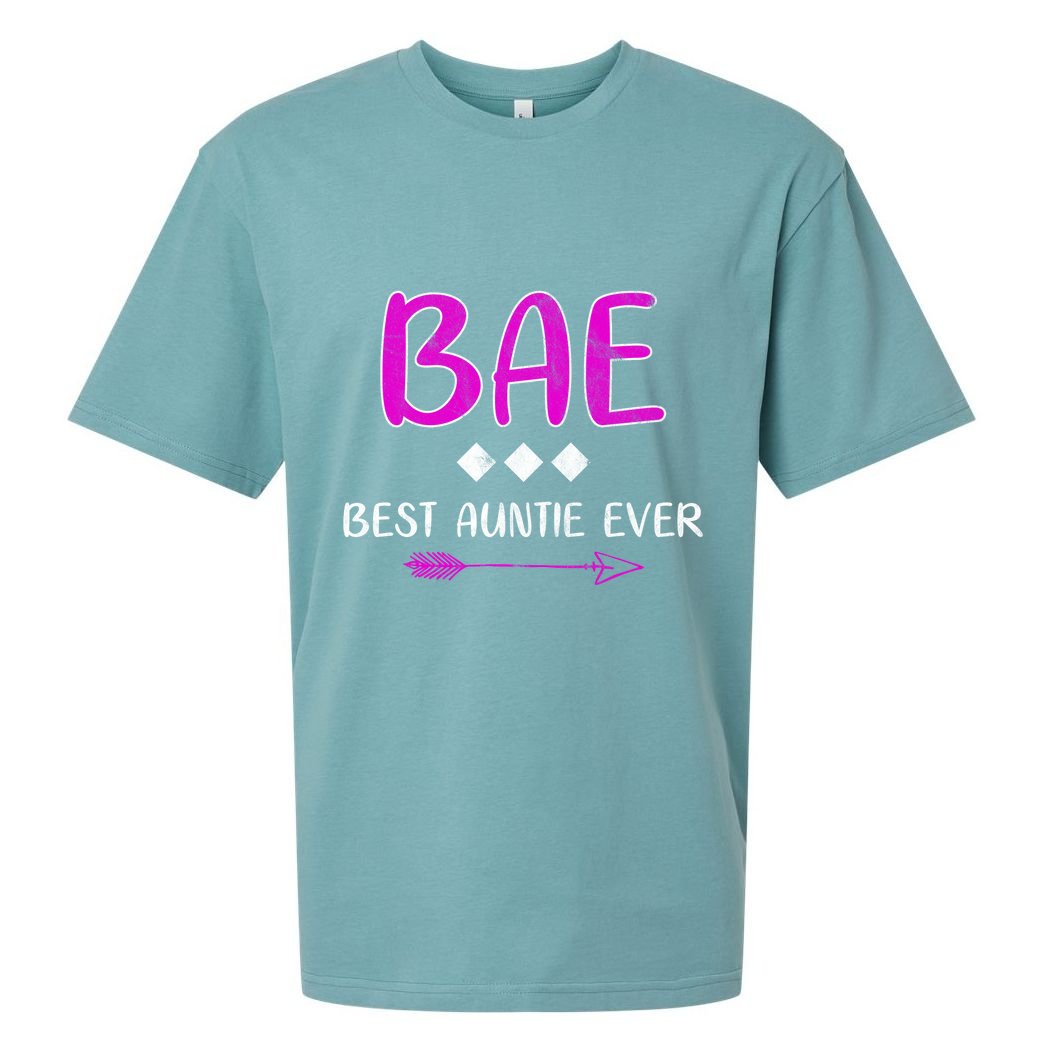 Bae Best Auntie Ever Sueded Cloud Jersey T-Shirt