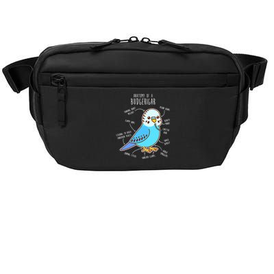 Blue Budgie Anatomy Crossbody Pack