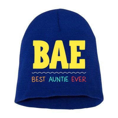 Bae Best Auntie Ever Bae Aunt Best Aunt Funny Auntie Funny Gift Short Acrylic Beanie