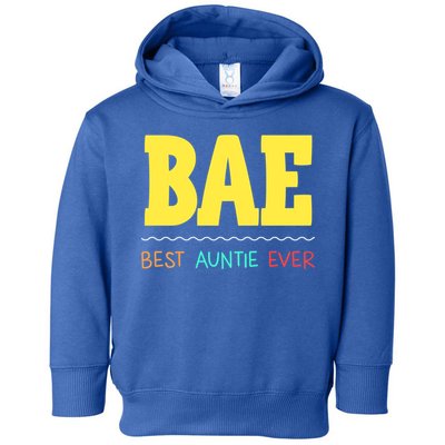 Bae Best Auntie Ever Bae Aunt Best Aunt Funny Auntie Gift Toddler Hoodie