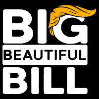 Big Beautiful Bill Donald Trump Tall T-Shirt