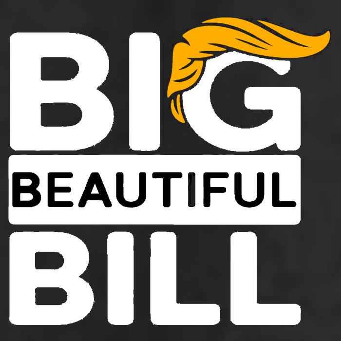 Big Beautiful Bill Donald Trump Hat