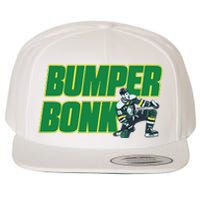 Bumper Bonk Wool Snapback Cap